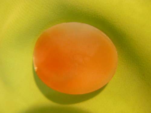 CAMEO BROOCH TOP