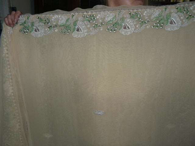 Beautiful Indian Saree