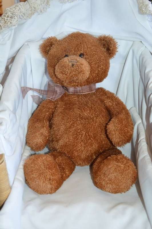 Gund Fabian brown bear 15311