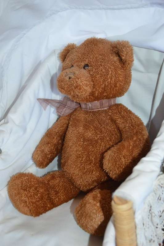 Gund Fabian brown bear 15311