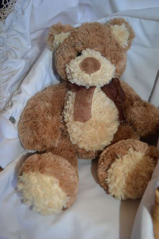 GUND bear with2 colors large and fat unplayed