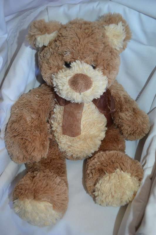 GUND bear with2 colors large and fat unplayed