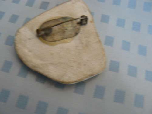 STUNNING BROOCH