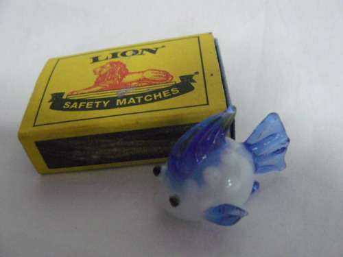 GLASS FISH SO CUTE