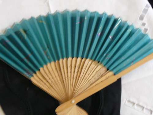 VINTAGE LIKE GLOVES AND HAND FAN