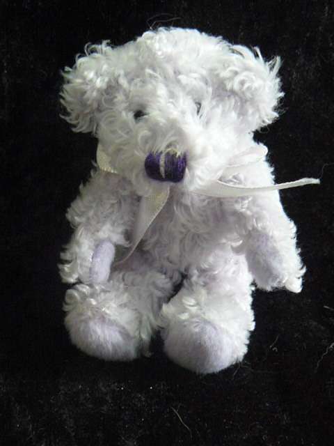 SMALL TEDDY