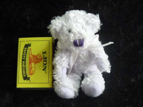 SMALL TEDDY