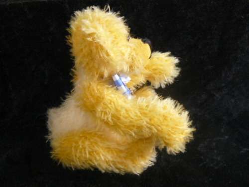 HAND MADE MOHAIR TEDDY MOVABLE LIMBS AND HEAD