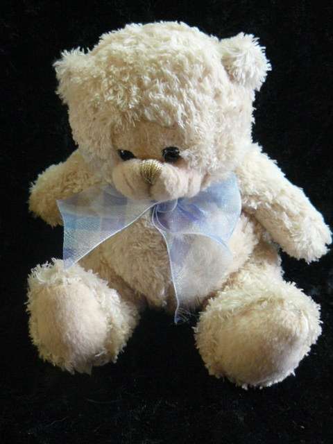 CUTE SMALL TEDDY