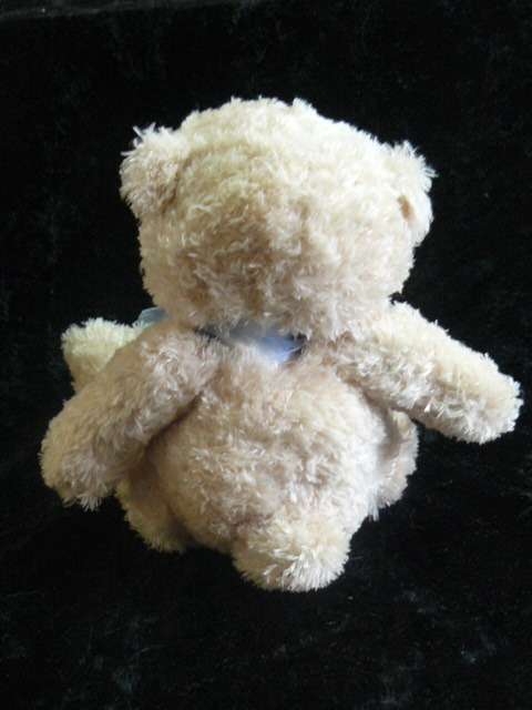 CUTE SMALL TEDDY