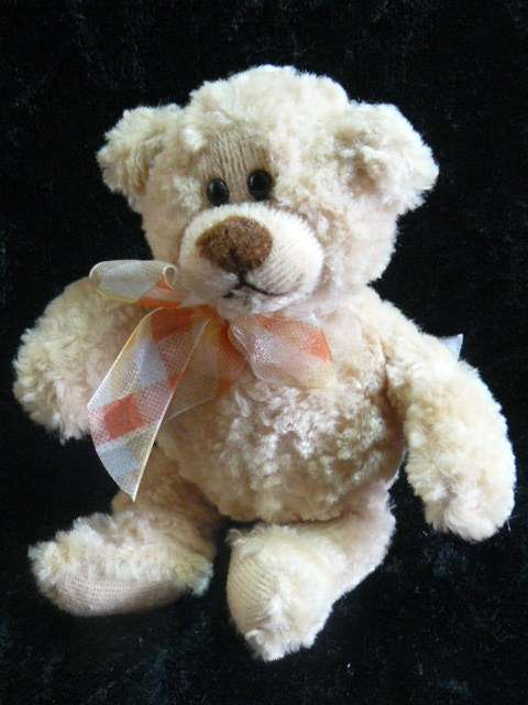 GUND SOFT SMALL TEDDY most adorable face