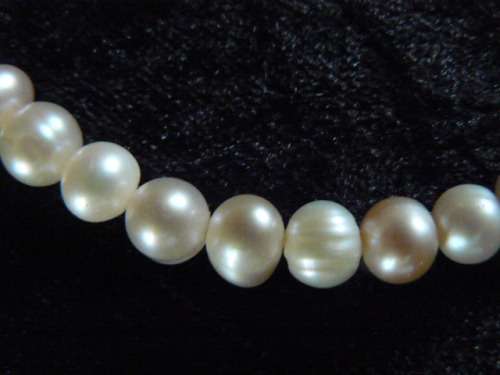 GENUINE FRESH WATER PEARL NECKLACE 42 CM