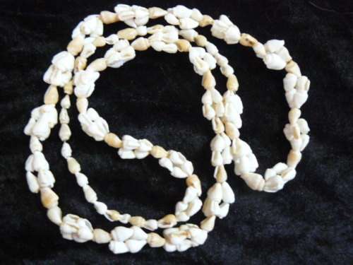 SHELL NECKLACE