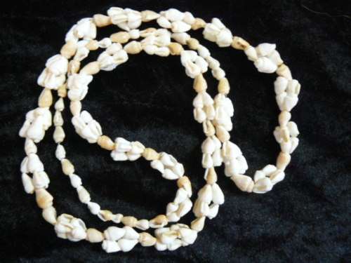 SHELL NECKLACE