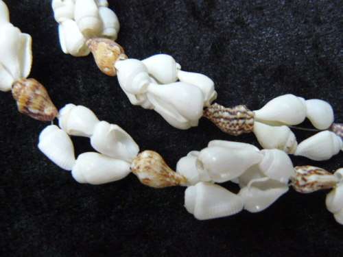 SHELL NECKLACE