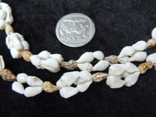 SHELL NECKLACE