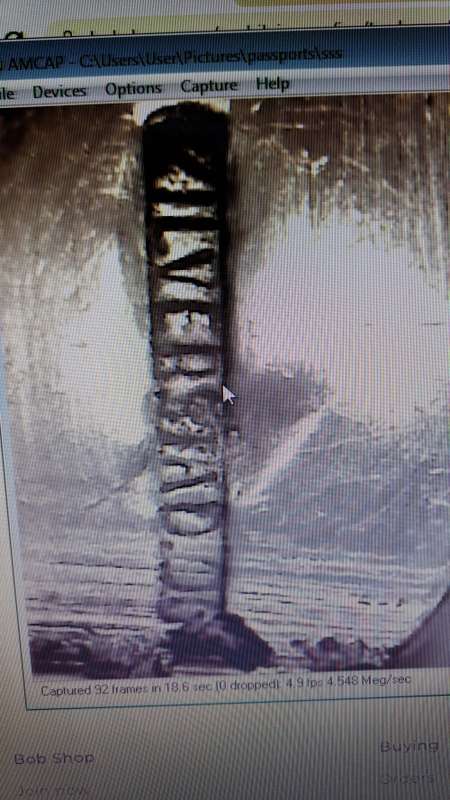 silver Dutch Netherlands Mango fork