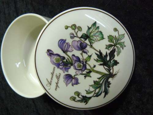 TRINKET BOX WILLERY AND BOCH BOTANICA