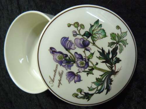 TRINKET BOX WILLERY AND BOCH BOTANICA