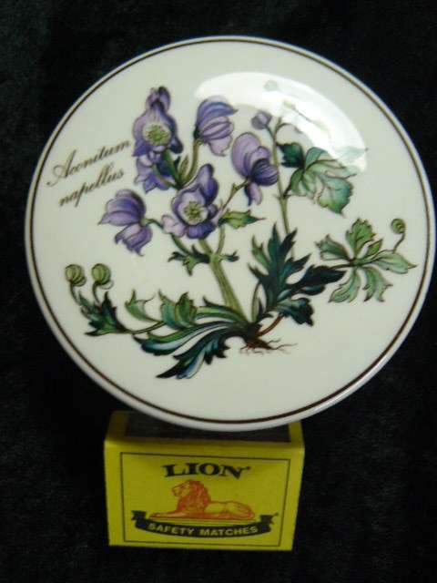 TRINKET BOX WILLERY AND BOCH BOTANICA