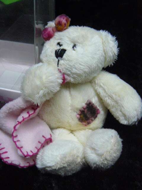 SOFT TEDDY