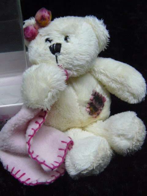 SOFT TEDDY