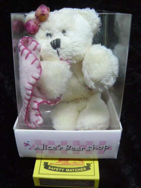 SOFT TEDDY
