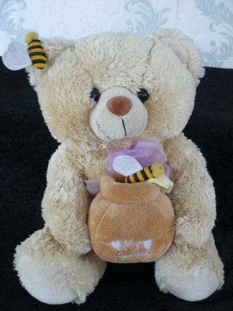 SOFT TEDDY 27 CM SITTING