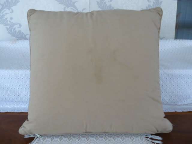 Red Cushion and Cover Set