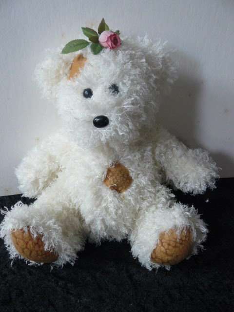 SOFT COLLECTABLE TEDDY CHEZ