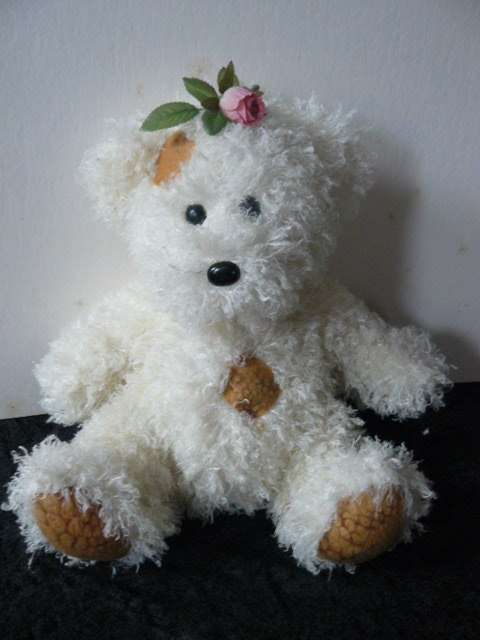 SOFT COLLECTABLE TEDDY CHEZ