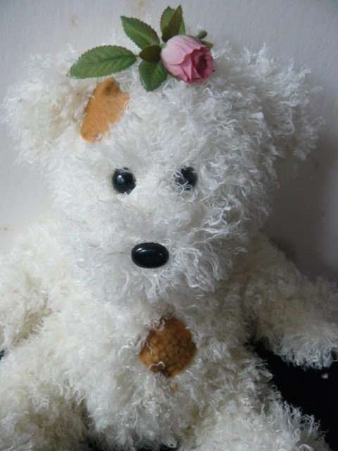 SOFT COLLECTABLE TEDDY CHEZ