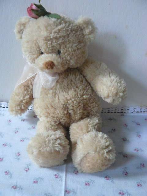 GUND COLLECTABLE BEAR TOOOO CUTE
