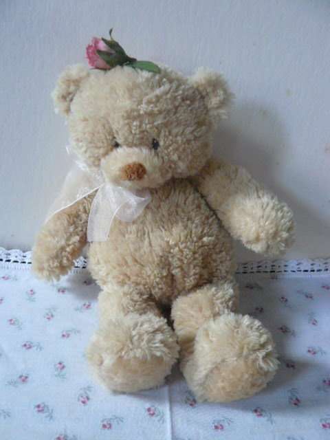 GUND COLLECTABLE BEAR TOOOO CUTE