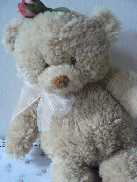 GUND COLLECTABLE BEAR TOOOO CUTE