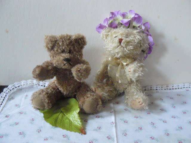 TEDDY BEARS X 2