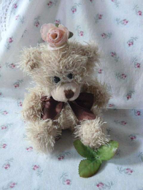 TEDDY BEAR SOFT
