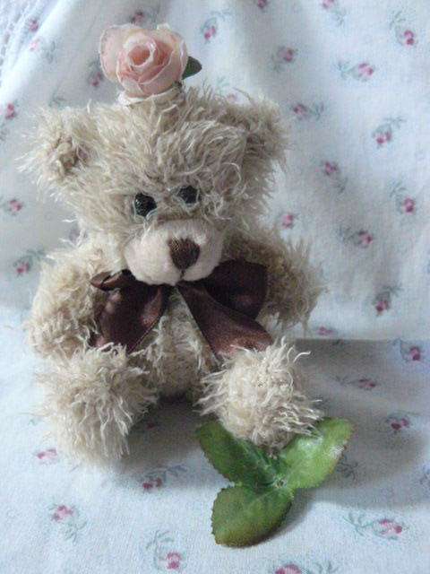 TEDDY BEAR SOFT
