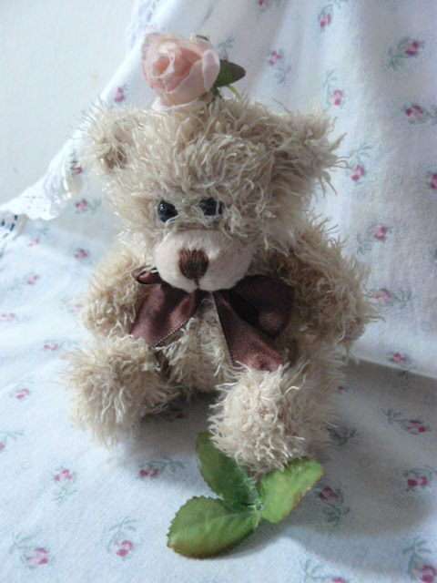 TEDDY BEAR SOFT