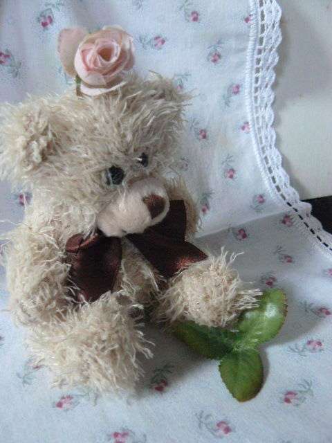 TEDDY BEAR SOFT