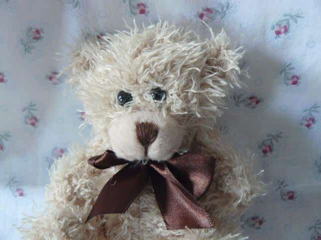 TEDDY BEAR SOFT