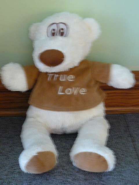TEDDY  BEAR