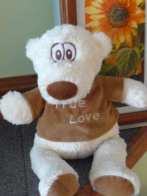 TEDDY  BEAR