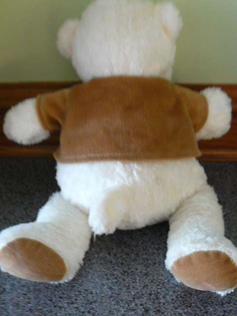 TEDDY  BEAR