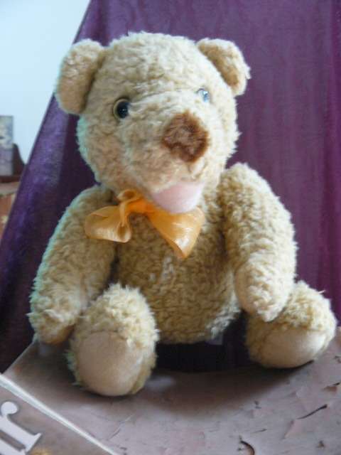 VINTAGE TEDDY WITH FREE MAGAZINE