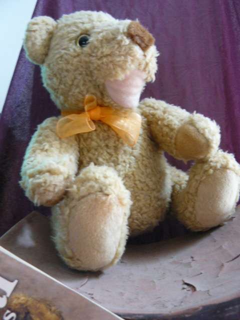 VINTAGE TEDDY WITH FREE MAGAZINE