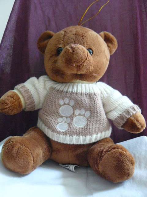 TEDDY  BEAR
