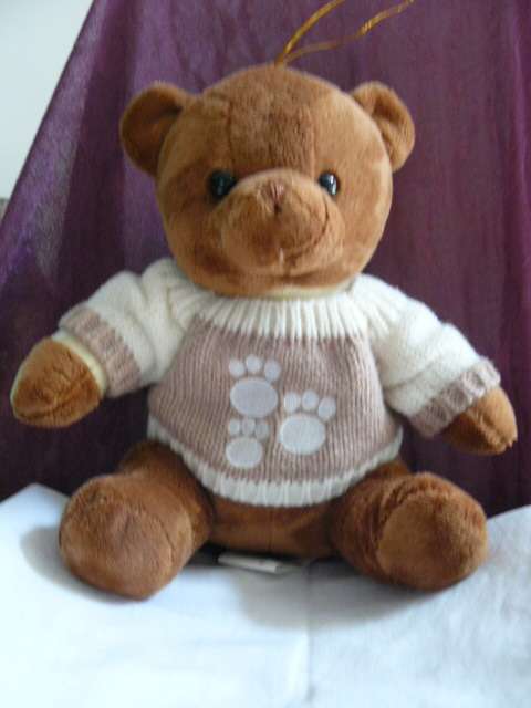 TEDDY  BEAR