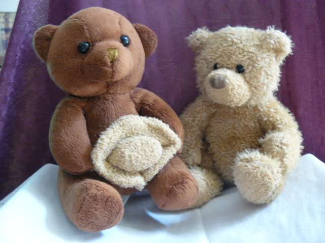 BEAR X 2