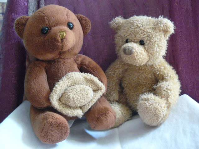 BEAR X 2